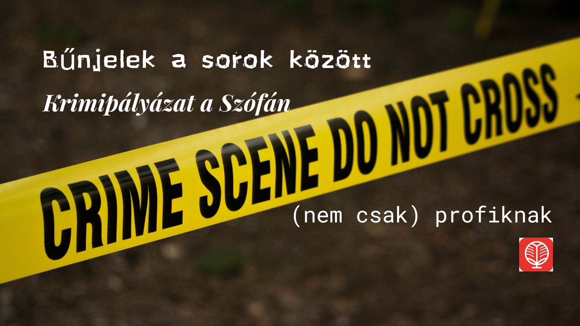 Bűnjelek a sorok között