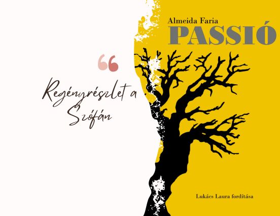 Részlet a Passióból (1)