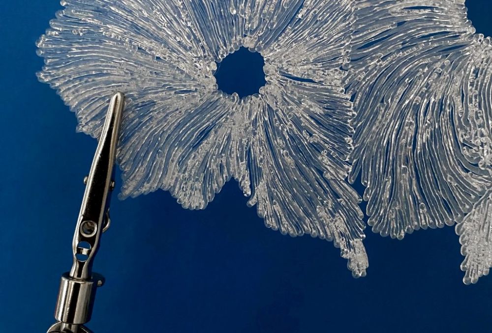 Megérteni, kontrollálni, megmenteni a világot – interjú Csonka Veronikával