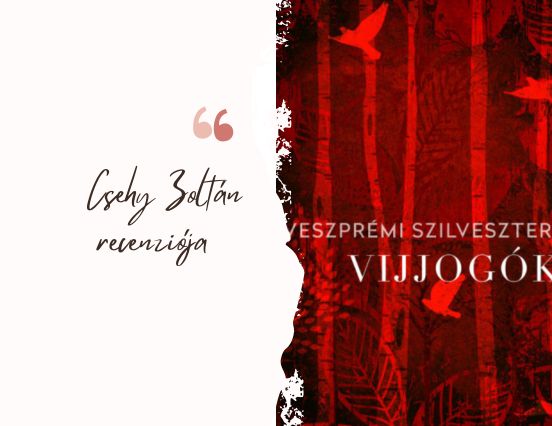 A vijjogók nyelve