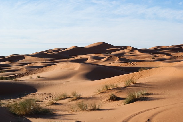 Székely Örs: Sivatag triptichon (részlet)